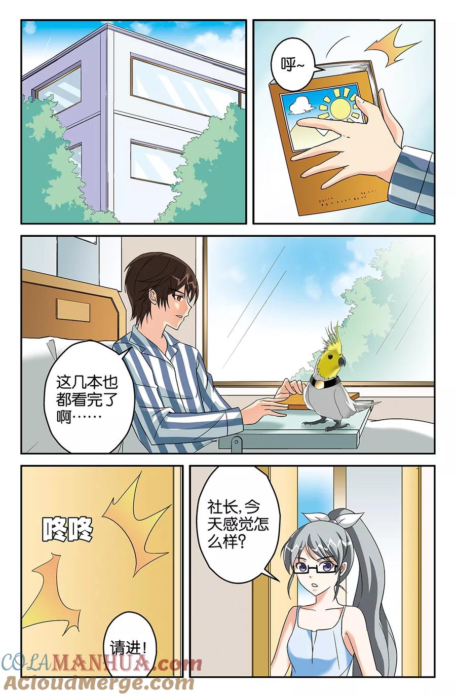 第3页
