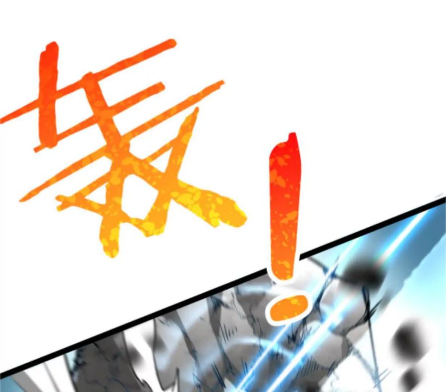 第215页