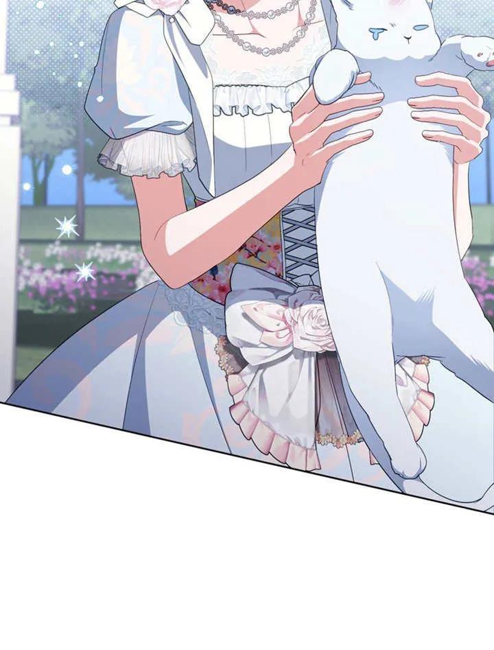 第247页