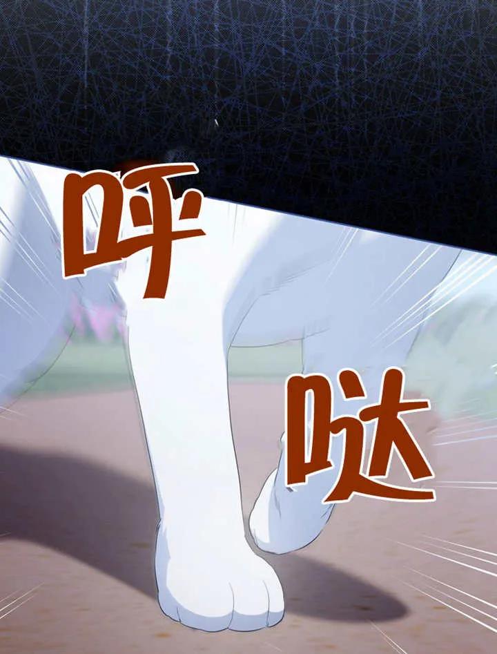 第215页