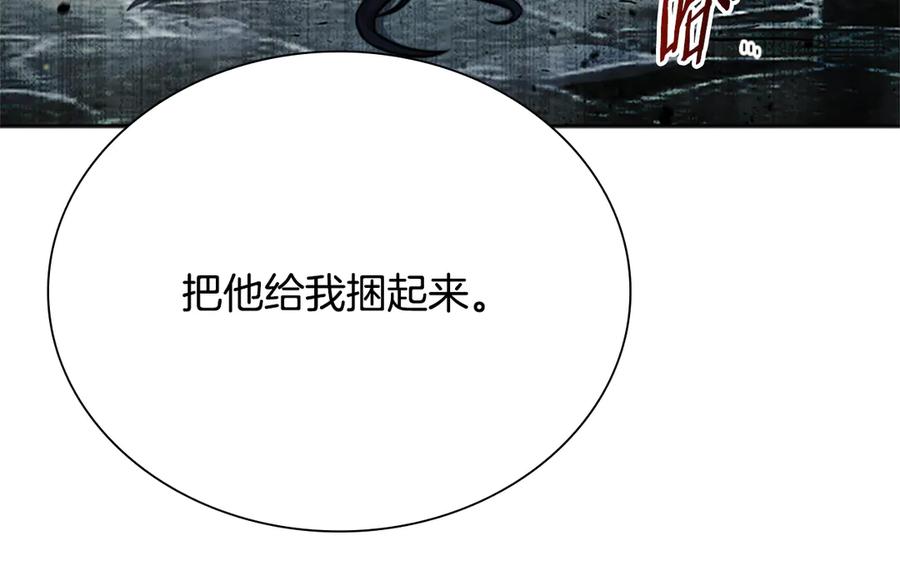 第223页