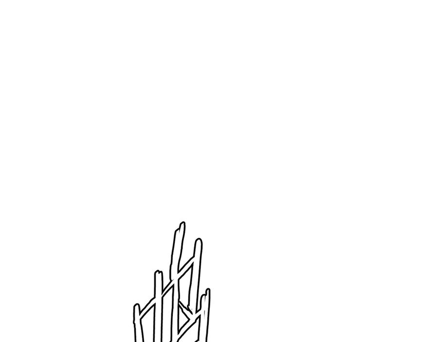 第224页