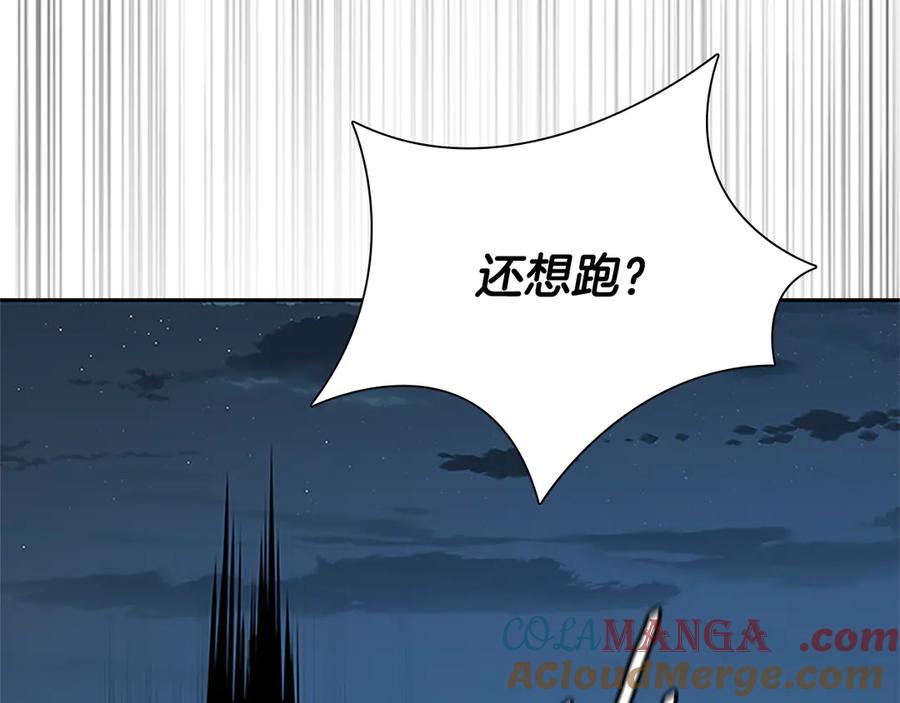 第205页