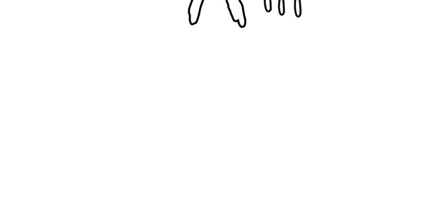 第239页