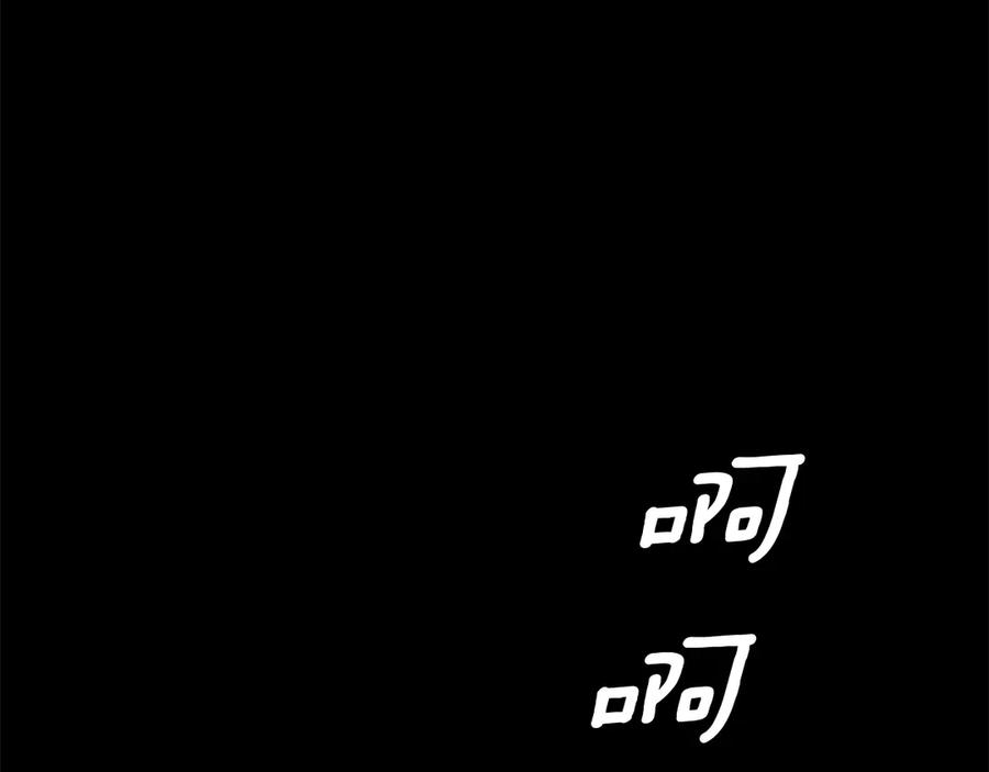 第244页