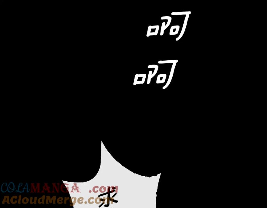 第245页