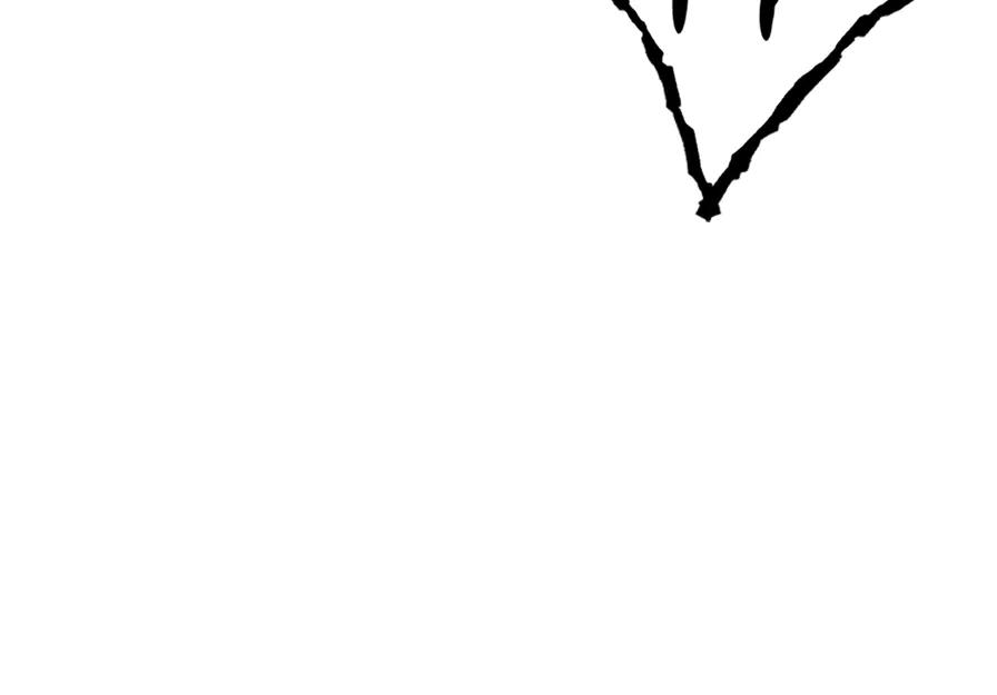 第219页