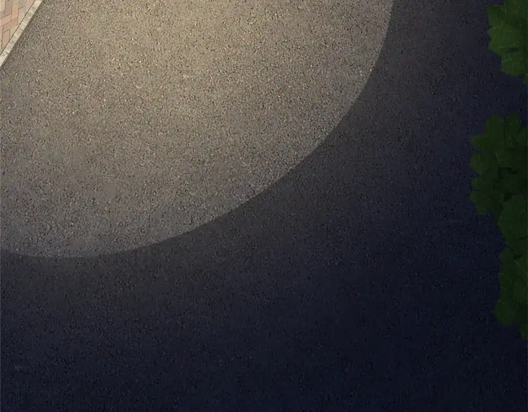 第51页