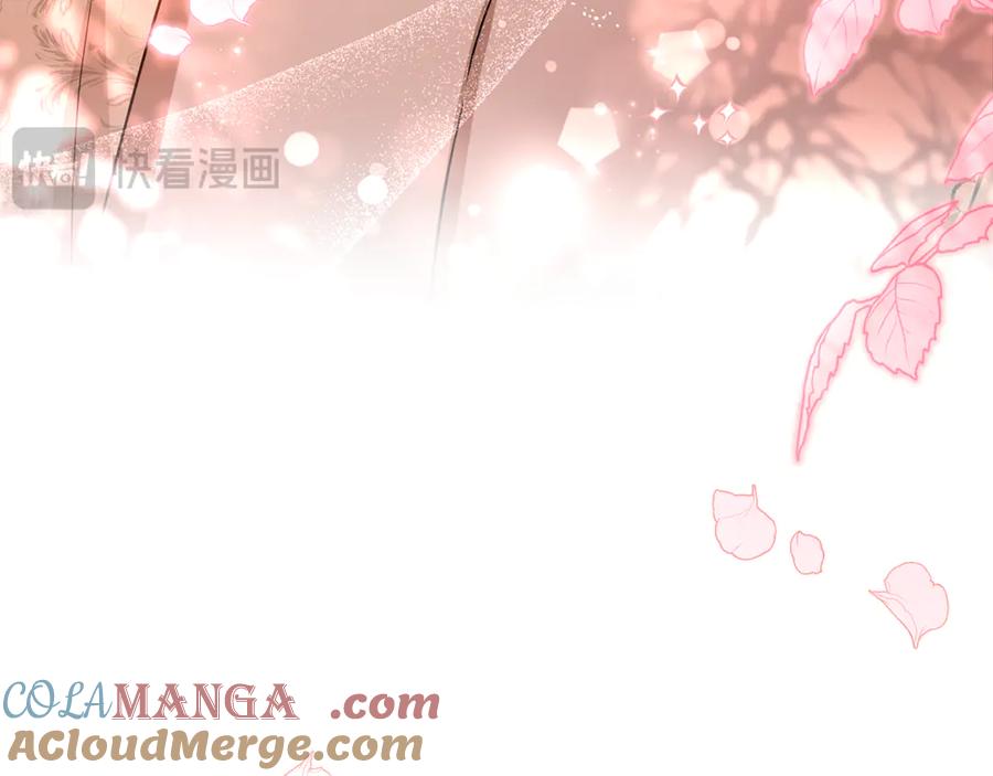 第217页