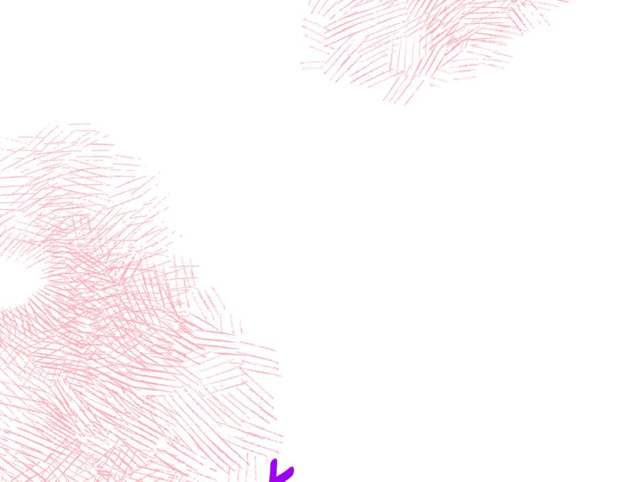 第223页