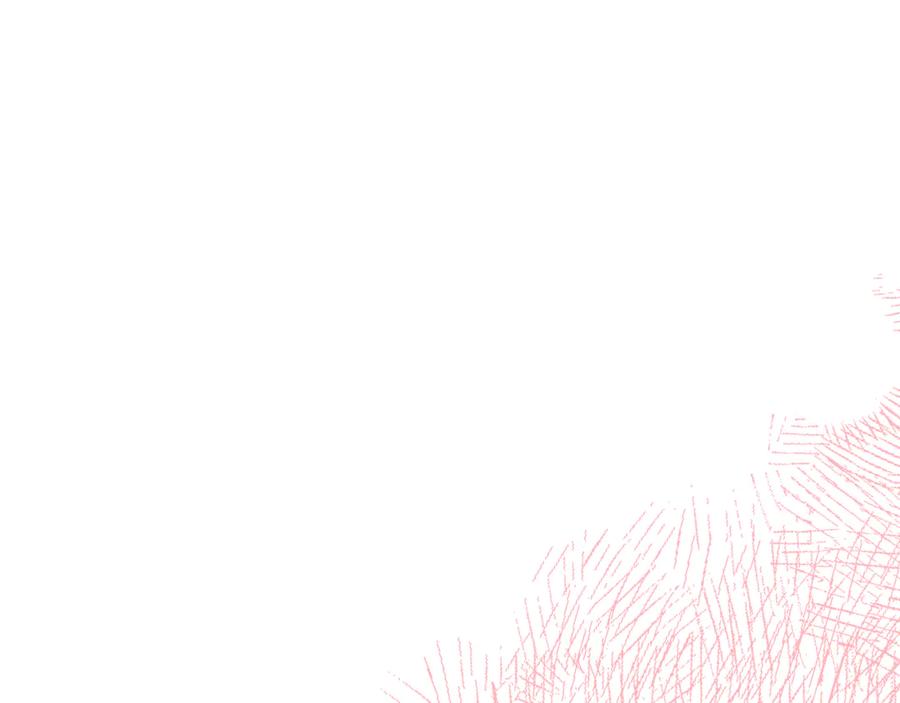 第263页