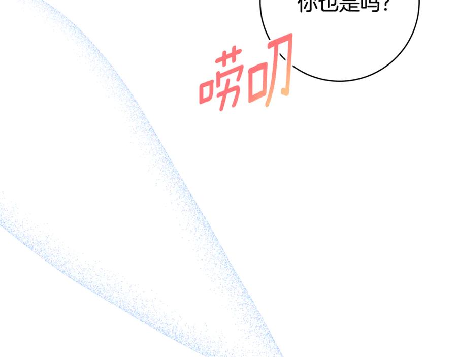第234页