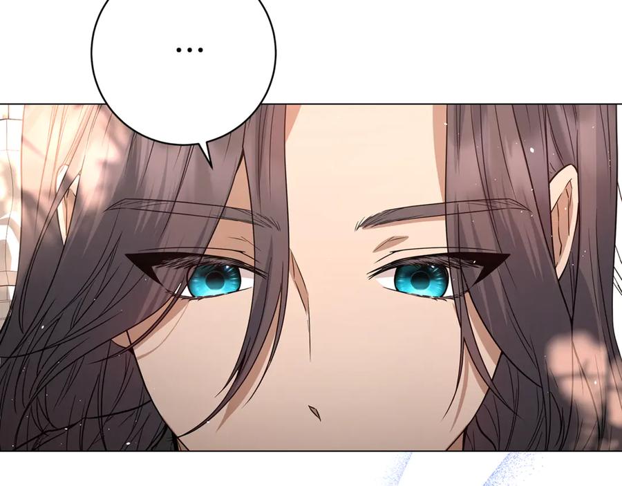 第238页