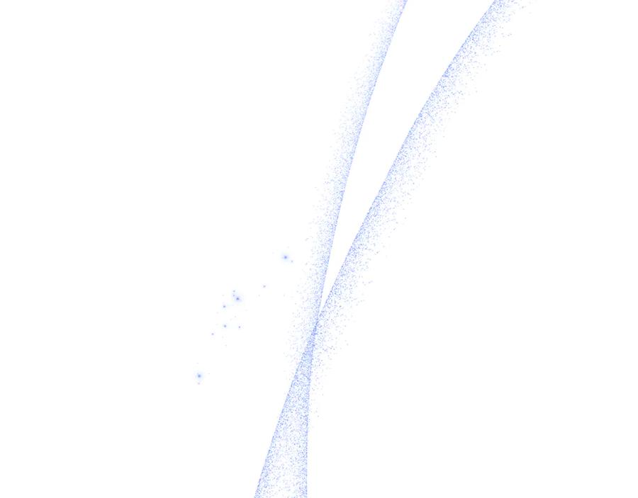 第239页