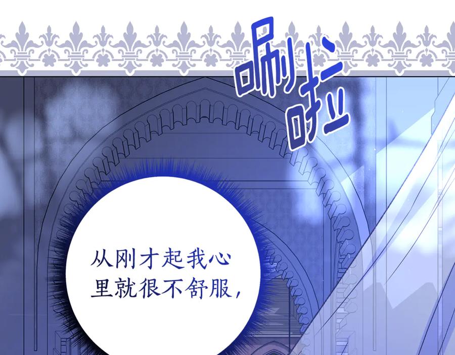 第219页