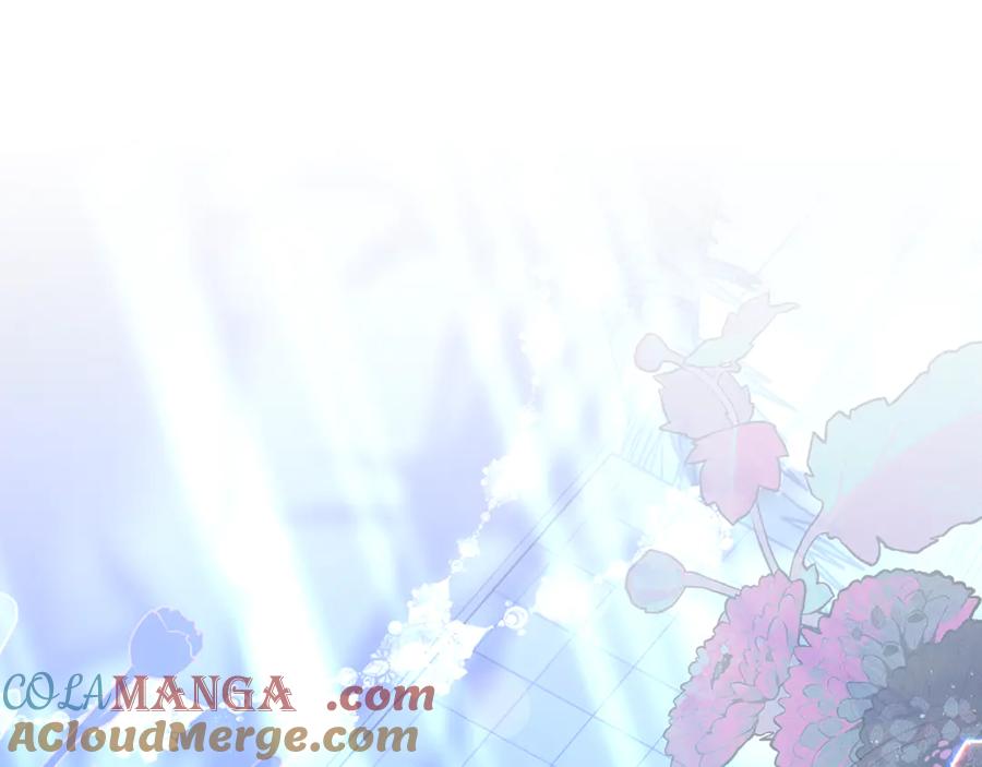 第245页