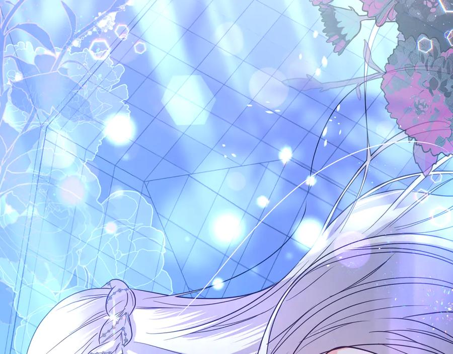 第246页