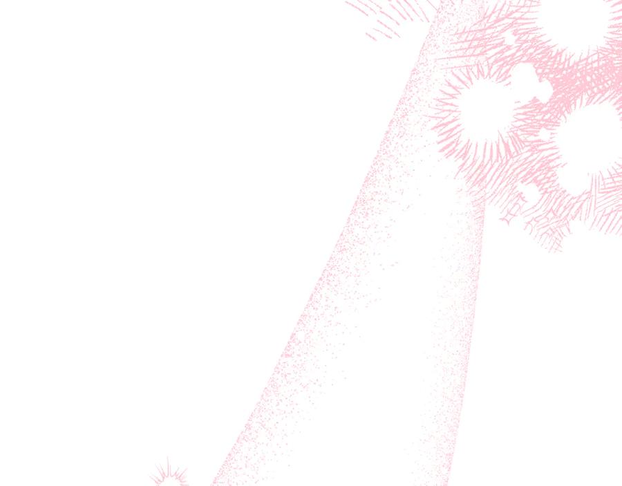 第208页