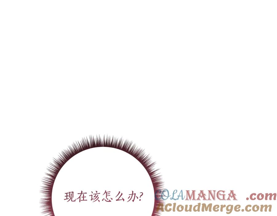 第241页