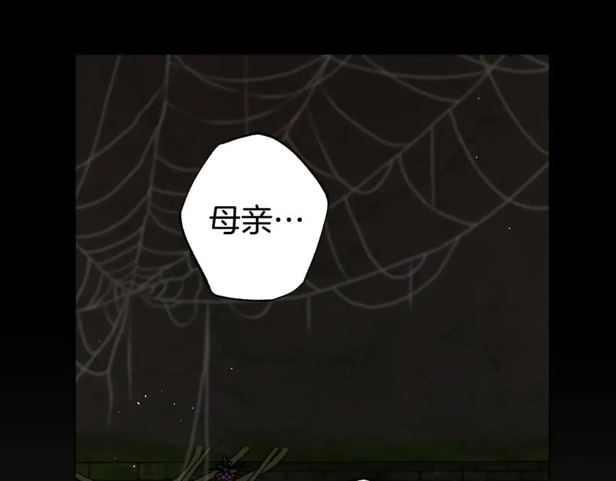 第247页