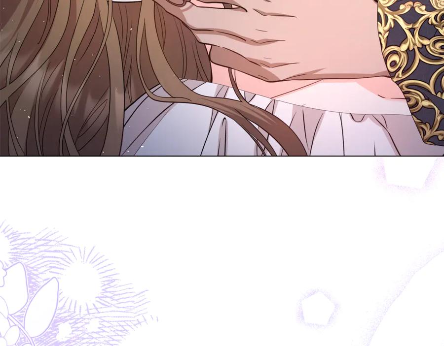 第242页