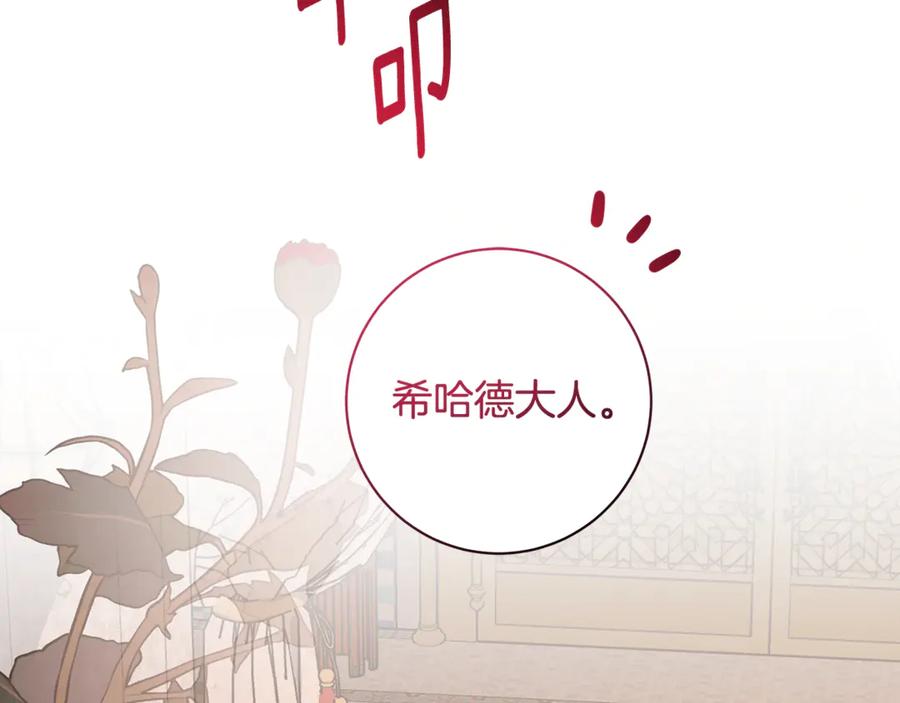 第215页