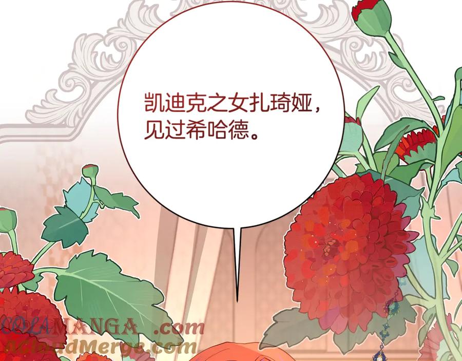 第221页