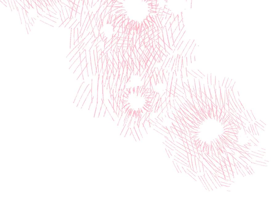 第251页