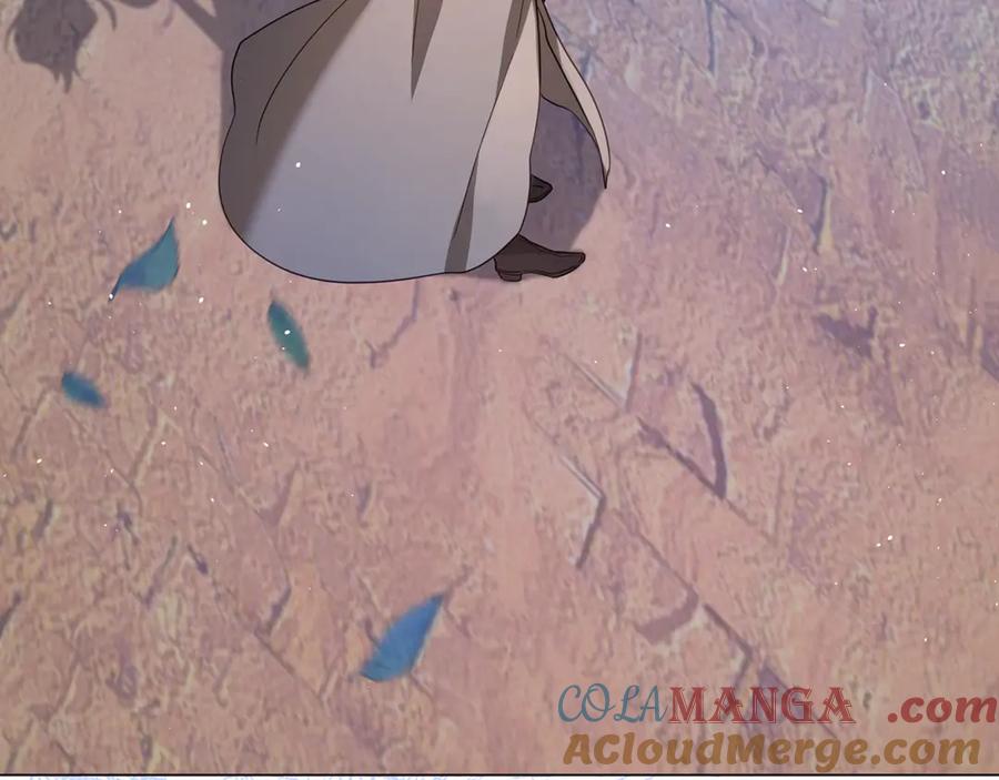 第264页