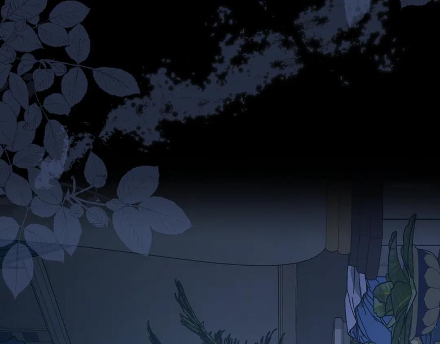 第223页