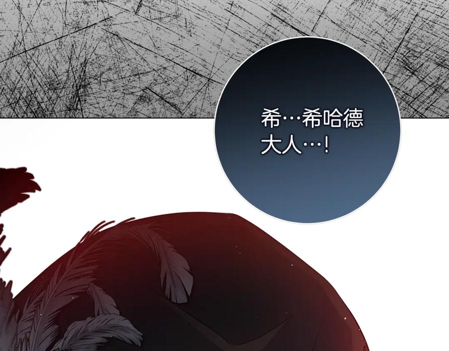 第243页