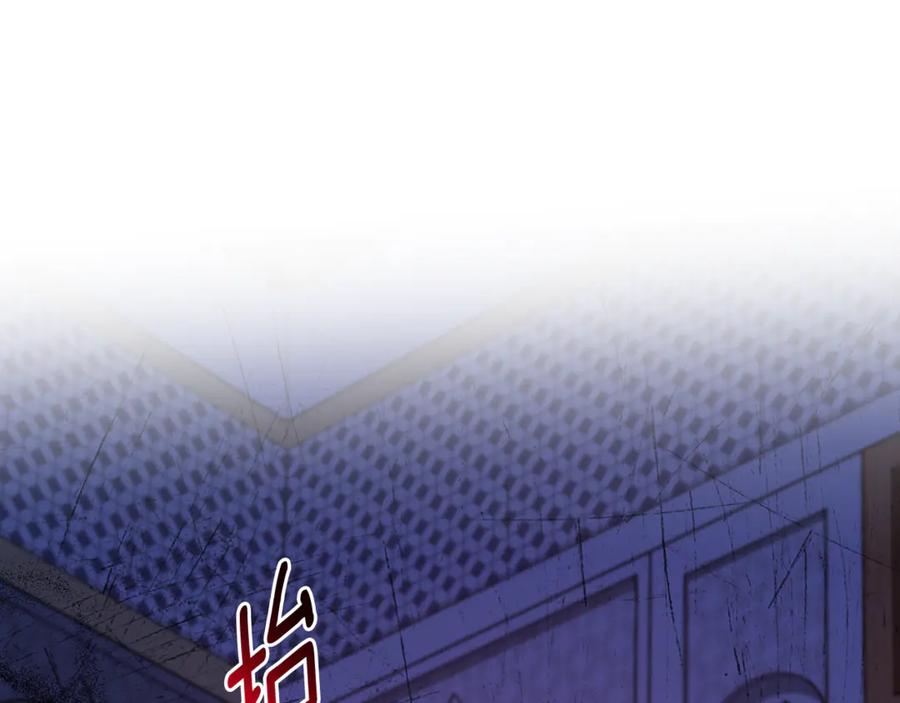 第244页