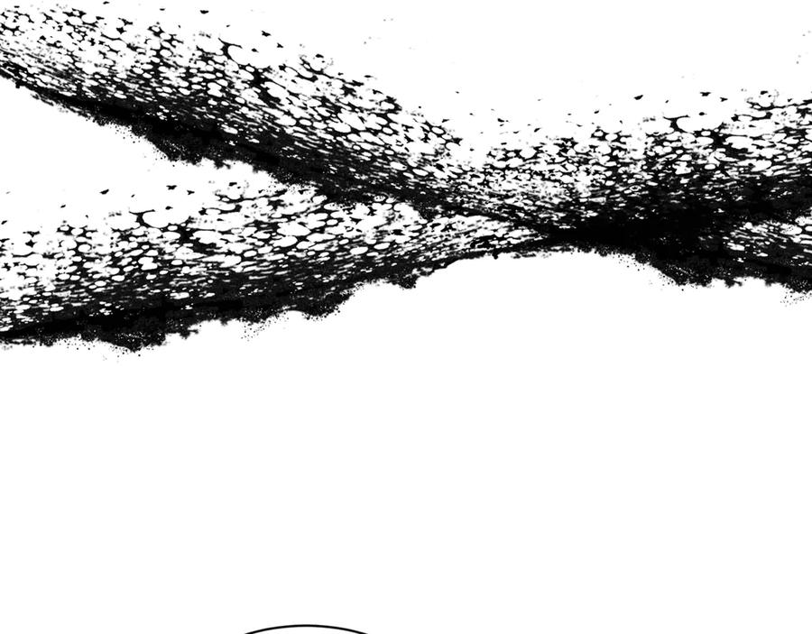 第204页