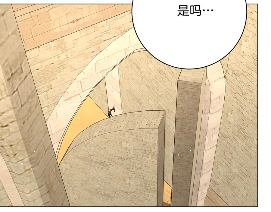 第243页