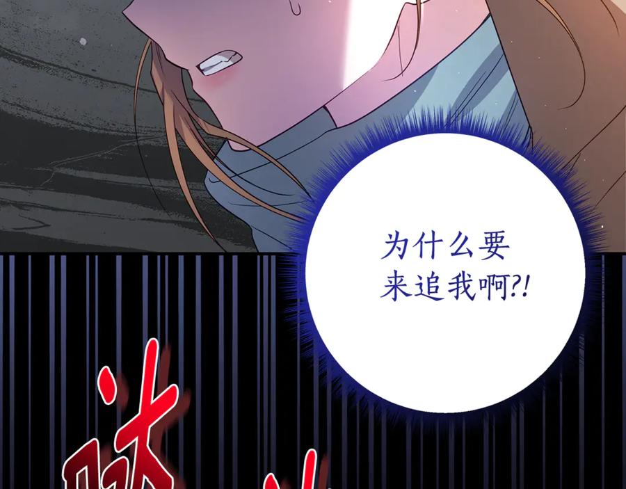 第214页