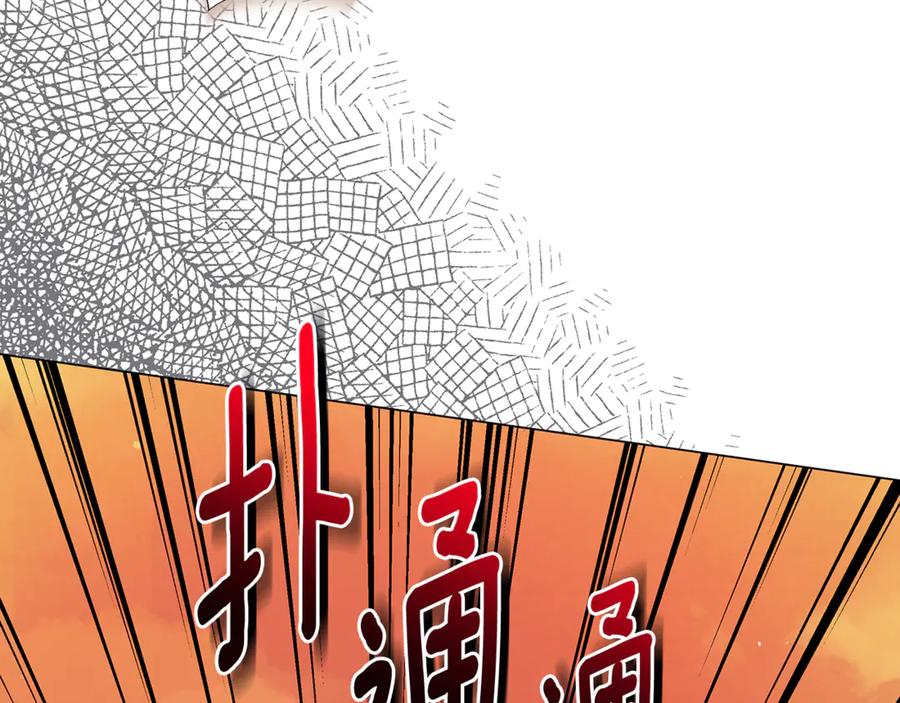 第223页