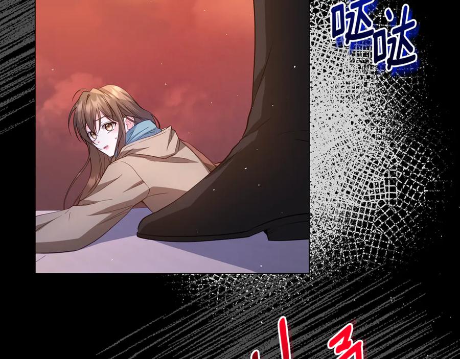 第239页