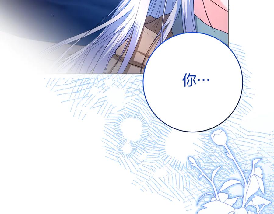 第251页