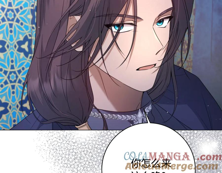 第213页