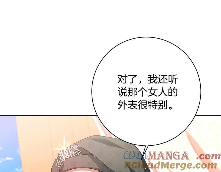 第213页