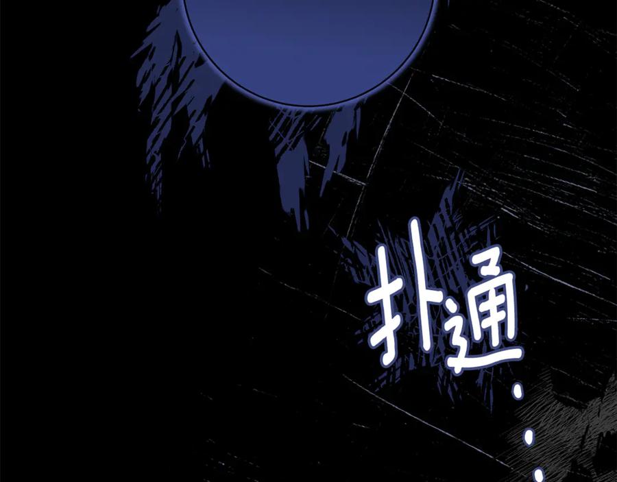 第223页