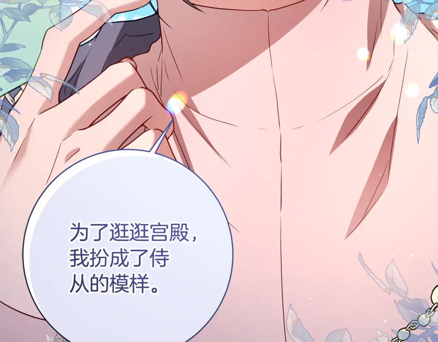 第242页