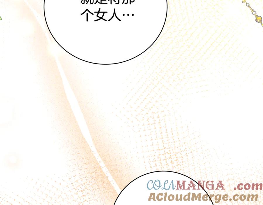 第221页