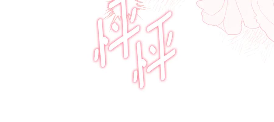 第224页