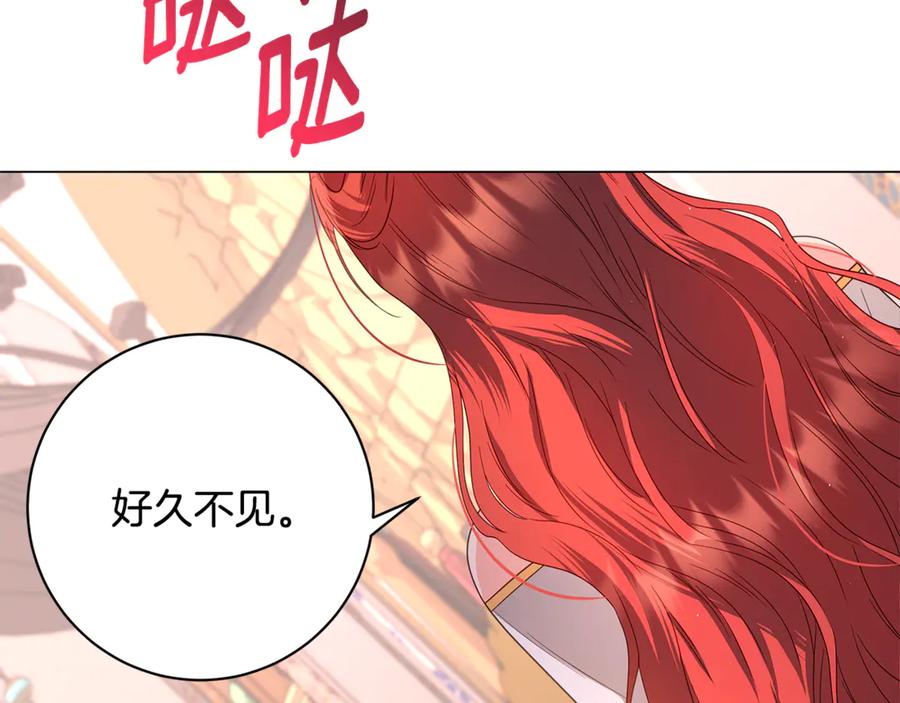 第228页