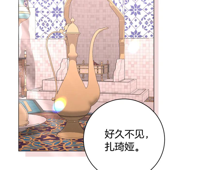 第238页