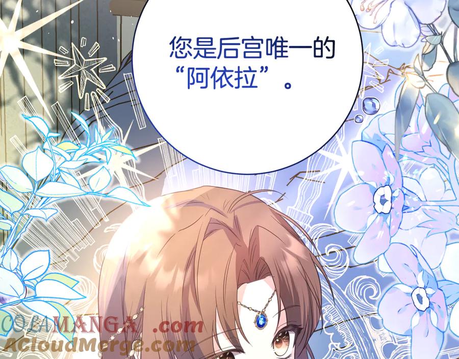 第205页