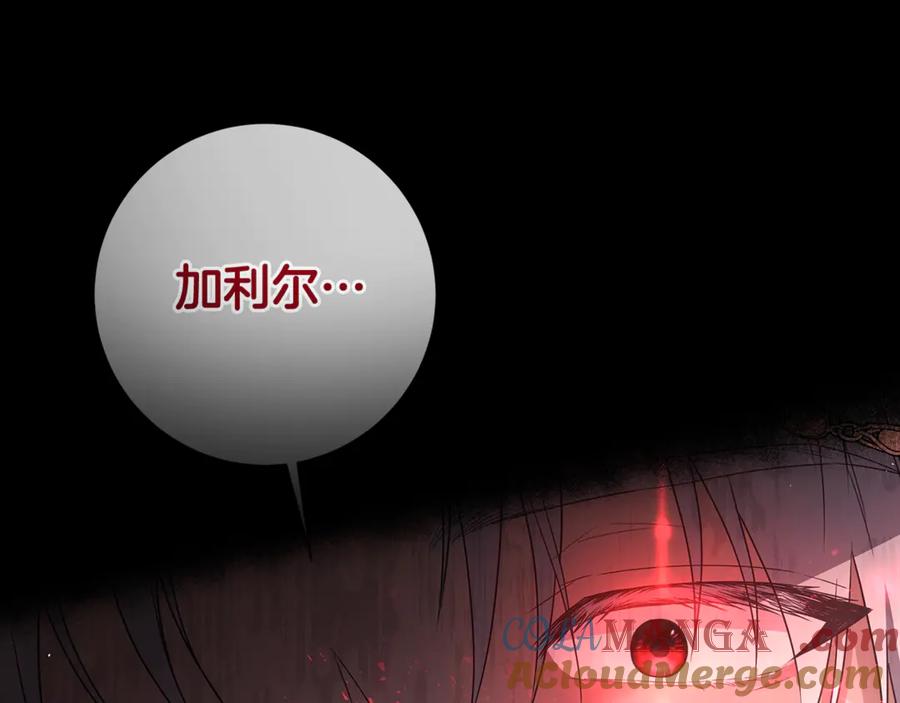 第245页