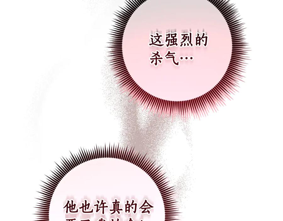 第251页