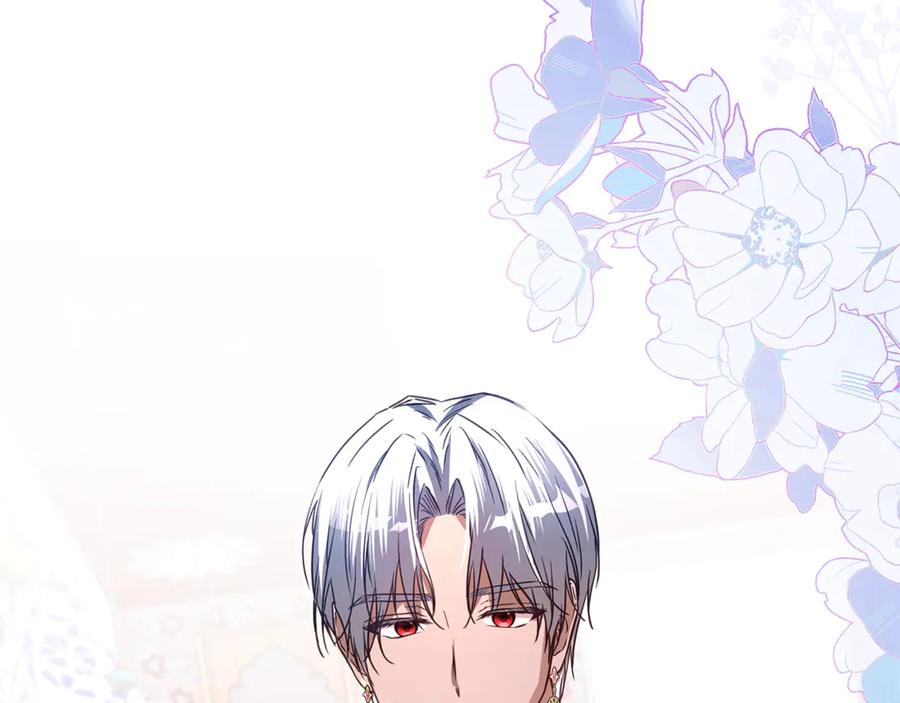 第223页